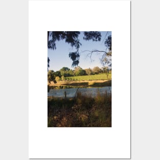 The Pinot Patch - Adelaide Hills - Fleurieu Peninsula - by South Australian artist Avril Thomas Posters and Art